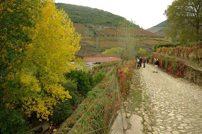 Douro Valley: From Casal de Loivos to Pinhão Walk and Wine Tour - Pinhão: the town moment plus the train station tiles