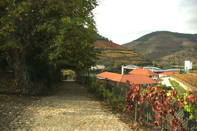 Douro Valley: From Casal de Loivos to Pinhão Walk and Wine Tour - The Casal de Loivos to Quinta do Jalloto walk: views first, pace second