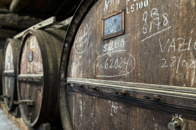 Douro Valley Full Day Tour with River Cruise and Wine Tastings - Value and timing: what $149.92 includes (and what it doesn’t)