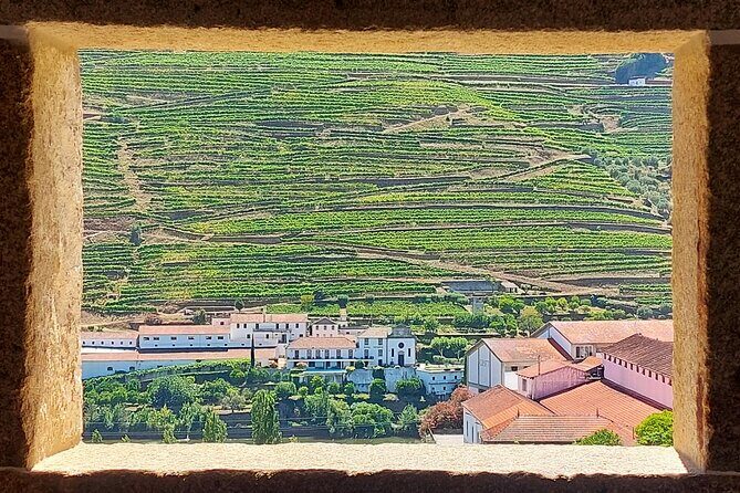 Douro Valley Full Day Tour with River Cruise and Wine Tastings - Pinhão and the Rabelo cruise: calm water, no narration