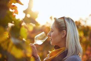 Douro Valley: Historical Sites, Wine Experience, Lunch & Cruise - Lunch in the Douro: a traditional meal plus included wine