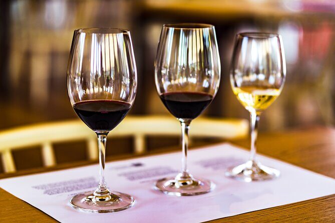 Douro Valley: Historical Sites, Wine Experience, Lunch & Cruise - Pinhão and the Rabelo cruise: watching vineyards from the water