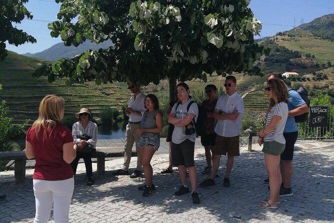 DOURO VALLEY: Lunch in a winery, tastings & 1-h private boat tour - The premium option in Pinhão: one extra winery moment