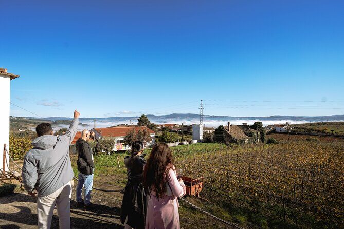DOURO VALLEY: Lunch in a winery, tastings & 1-h private boat tour - Peso da Régua: lunch and the drive along National Road 222