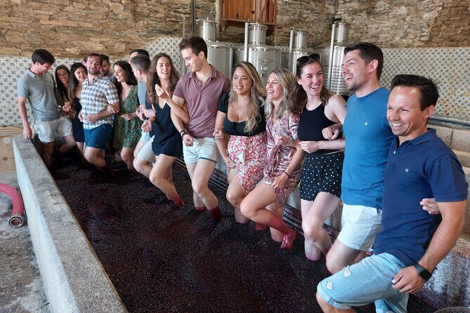 Douro Valley Pinhao Quinta da Foz Tour and Tasting 5 Wines - Stop 2: the cellar where top reds, whites, and Port are aged