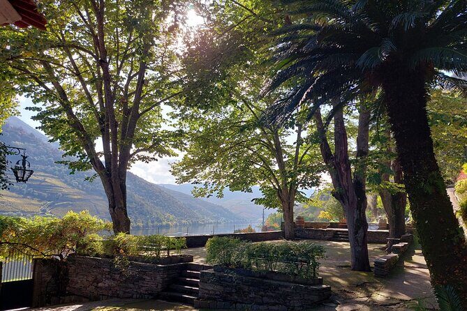 Douro Valley Pinhao Quinta da Foz Tour and Tasting 5 Wines - How I’d use the 5-wine tasting as a beginner (or a refresher)