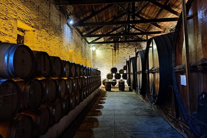 Douro Valley Pinhao Quinta da Foz Tour and Tasting 5 Wines - Timing and meeting point: the practical side of the 2:30 PM slot