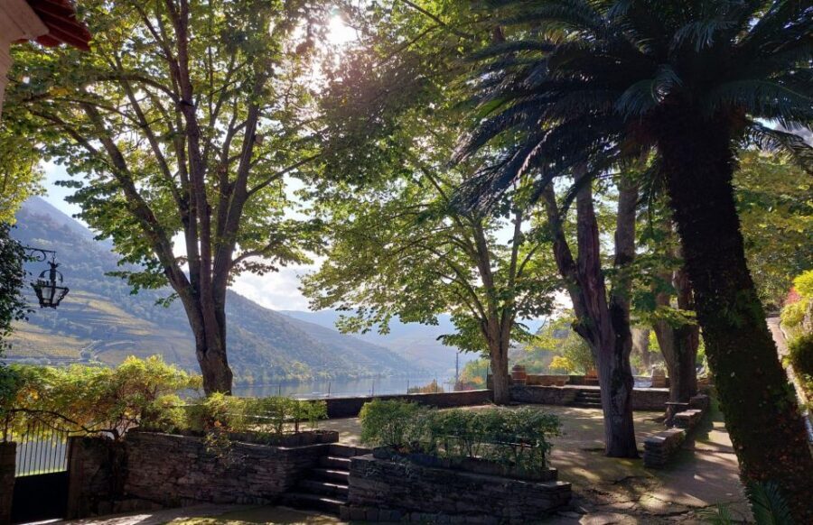 Douro Valley: (Pinhão) Quinta da Foz - Tour&Tasting 5 WINES - 5 wines, olive oil, and what that tasting lineup really teaches
