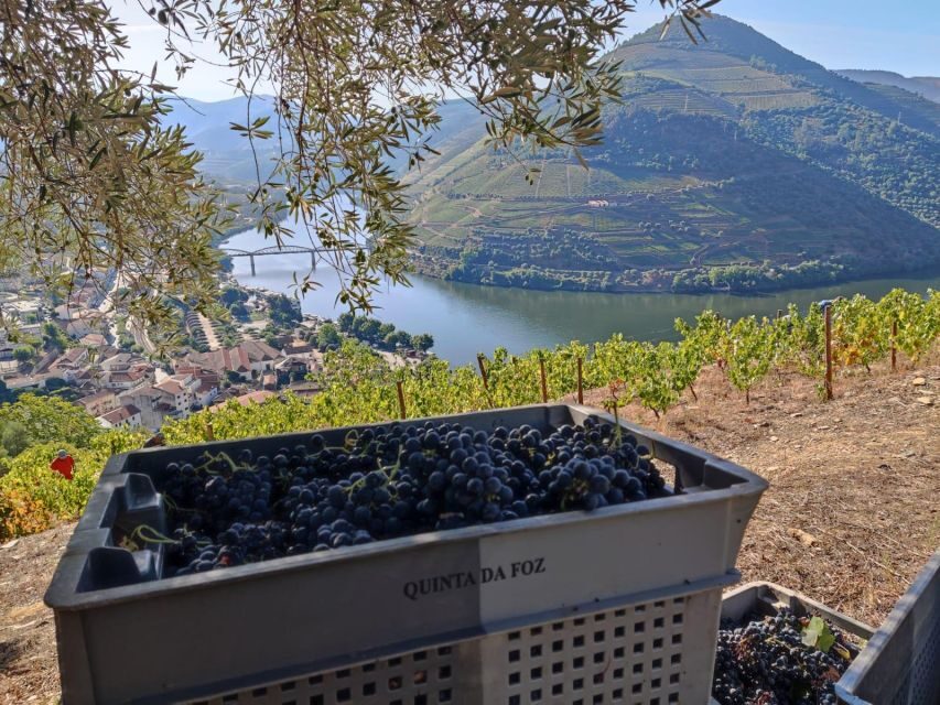 Douro Valley: (Pinhão) Quinta da Foz - Tour&Tasting 5 WINES - Price and value: why $41 can feel fair here