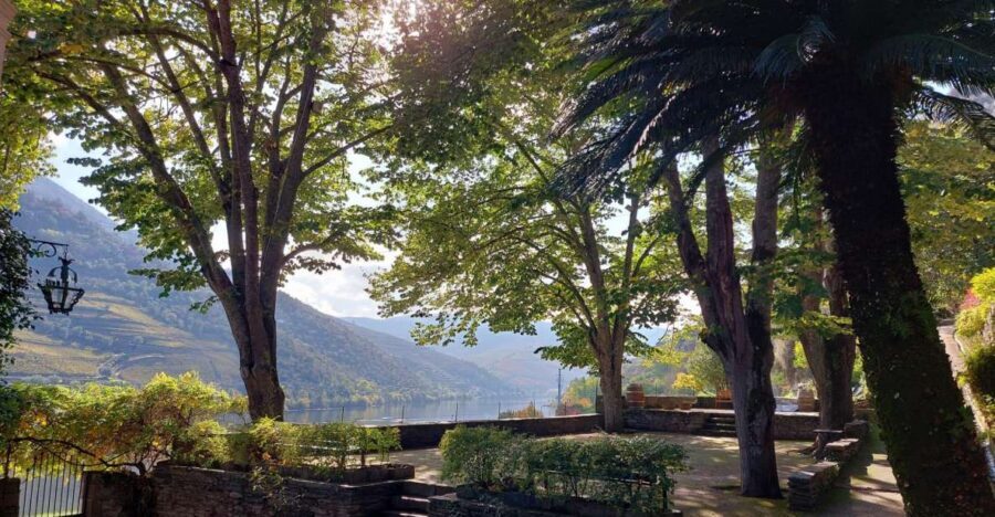 Douro Valley: (Pinhão) Quinta da Foz - Tour&Tasting 5 WINES - Practical notes that help you enjoy the hour