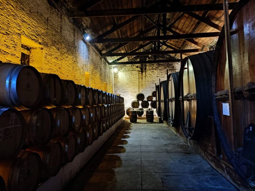 Douro Valley: (Pinhão) Quinta da Foz - Tour&Tasting 5 WINES - Your 1-hour flow: from vinification talk to the aging cellar