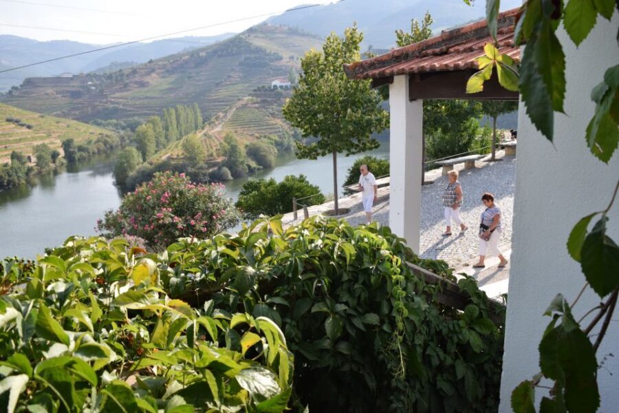 Douro Valley: Premium Port Tasting Winery Tour & River Views - Key things that make this tour worth your time