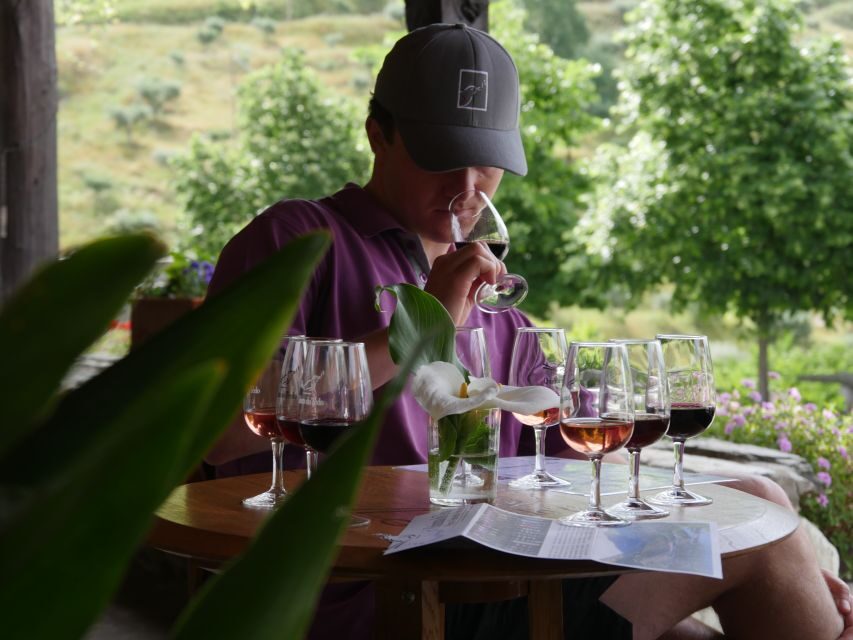 Douro Valley: Premium Port Tasting Winery Tour & River Views - Why This Douro Winery Visit Feels Practical, Not Pretend
