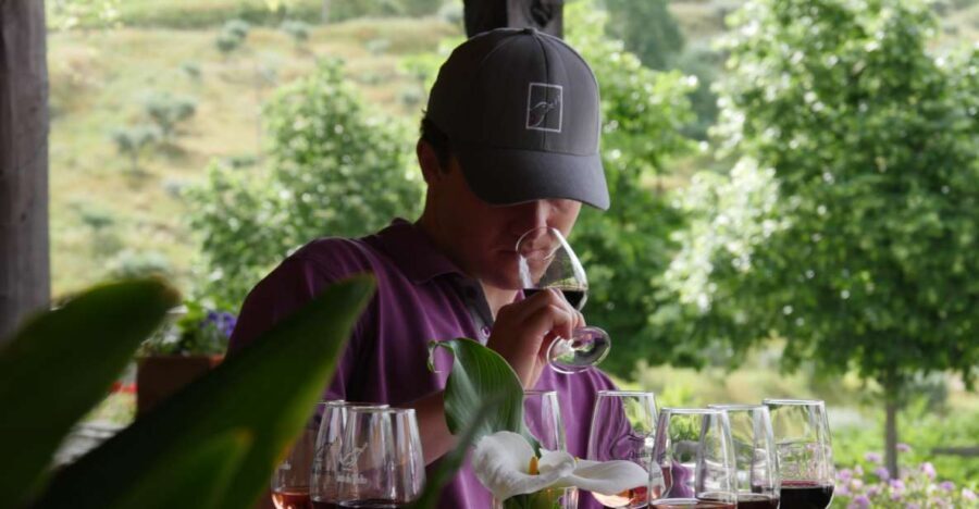 Douro Valley: Premium Port Tasting Winery Tour & River Views - Inside the 18th-Century Cellars: Port and DOC Production in Plain Language