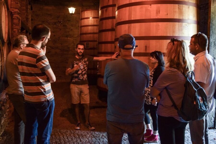 Douro Valley: Premium Port Tasting Winery Tour & River Views - The Tasting Flight: Choosing 3 Ports or 3 DOC Wines