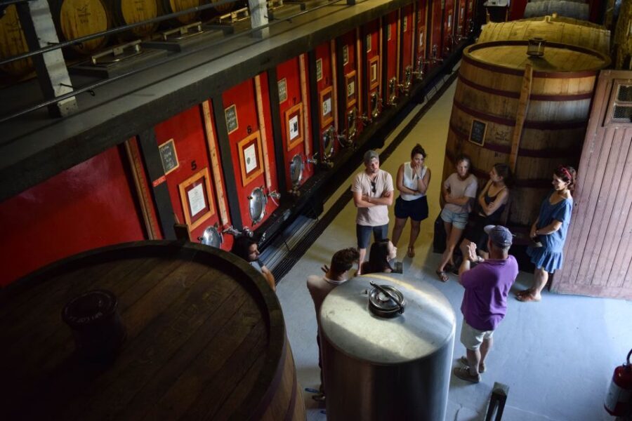 Douro Valley: Premium Port Tasting Winery Tour & River Views - $34 Value Check: What You Get for a Short 1.5-Hour Visit