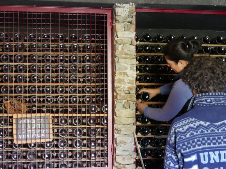 Douro Valley: Premium Port Tasting Winery Tour & River Views - Finding the Winery Near Régua and Pinhão (and What to Do When You Arrive)