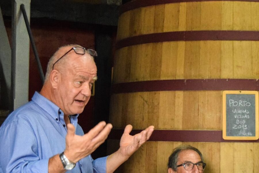 Douro Valley: Premium Port Tasting Winery Tour & River Views - Should You Book This Douro Port Tasting Tour?