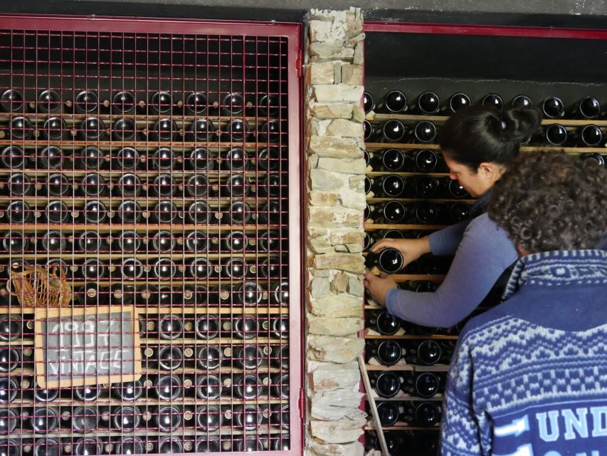 Douro Valley: Premium Port Tasting Winery Tour & River Views - Finding the Winery Near Régua and Pinhão (and What to Do When You Arrive)