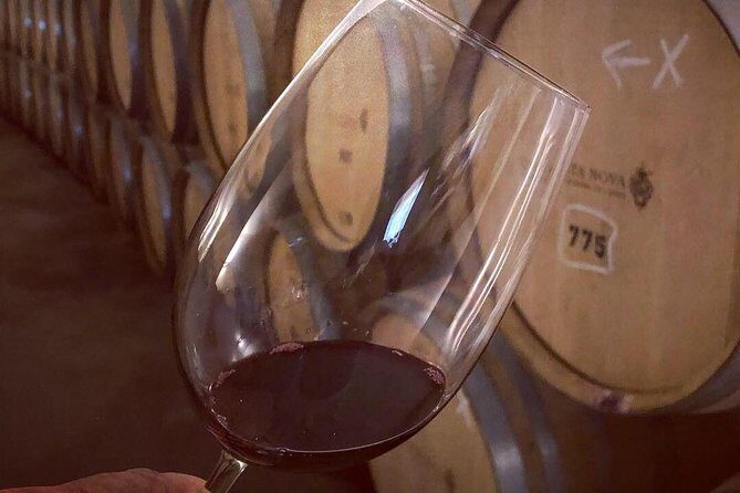 Douro Valley Premium Private - Wine, Port, and the 18+ Rule You Should Plan Around