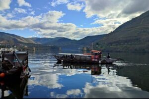 Douro Valley Premium Tours - Private Driver & Guide - Price and What $665.15 Covers (and What It Doesn’t)