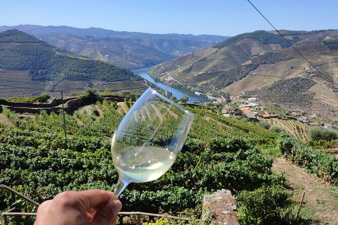 Douro Valley Premium Tours - Private Driver & Guide - The Rabelo River Cruise—The Best Break in the Middle