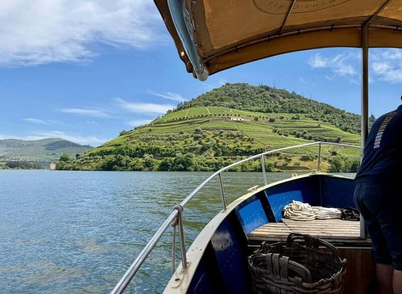 DOURO VALLEY: Premium Wine Tour, Winery Lunch & Private Boat - The N222 road: the scenic drive for people who care about views