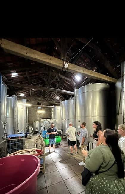 DOURO VALLEY: Premium Wine Tour, Winery Lunch & Private Boat - Wine tasting lineup: 10 tastes across DOC and Port styles