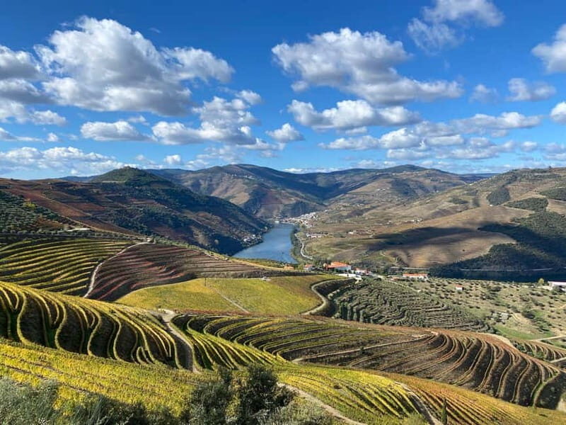 DOURO VALLEY: Premium Wine Tour, Winery Lunch & Private Boat - Timing and logistics that can affect your comfort