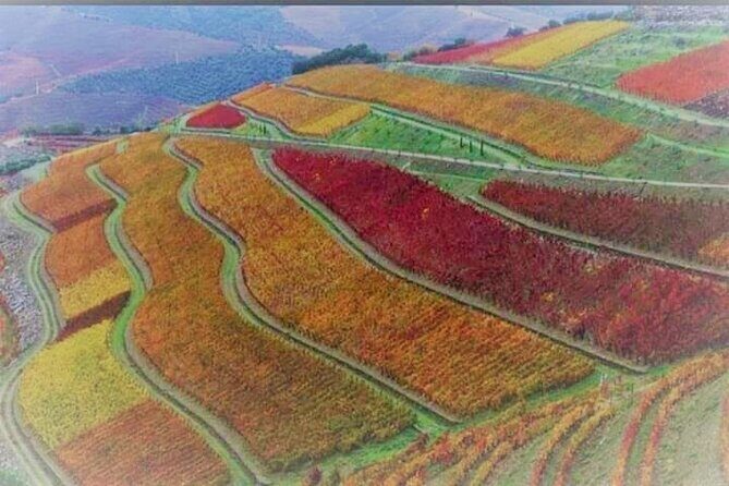 Douro Valley Premium with wine tasting lunch and boat - Pinhão Choice: Vineyard Farm Tasting or a Rabelo Boat Ride