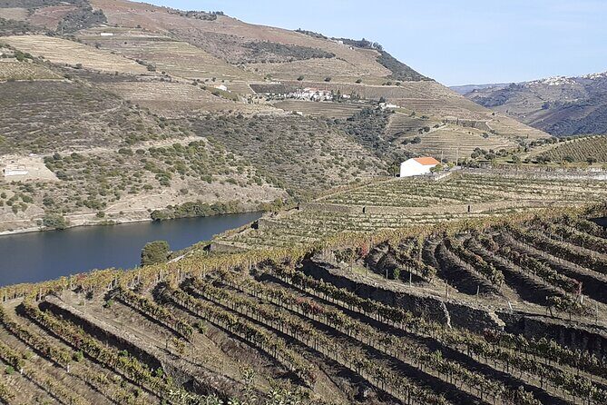 Douro Valley Premium with wine tasting lunch and boat - Meeting Point, Timing, and How the Day Flows