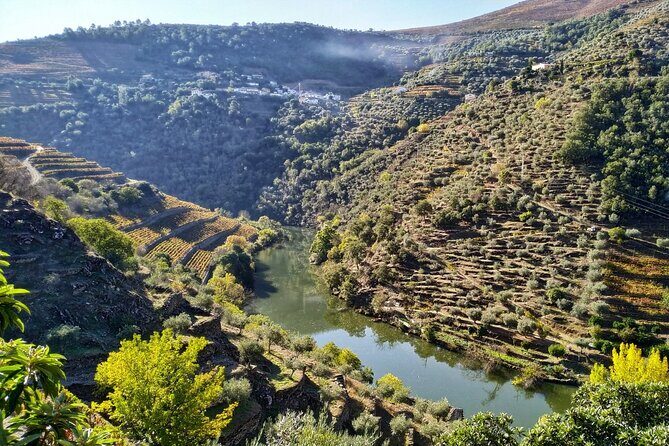 Douro Valley Prime Tour: Wine Tastings, Boat & Lunch from Porto - Small-group comfort: eight people is the sweet spot