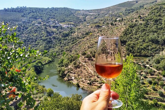Douro Valley Prime Tour: Wine Tastings, Boat & Lunch from Porto - Quinta do Panascal tastings: Port-making in granite tanks