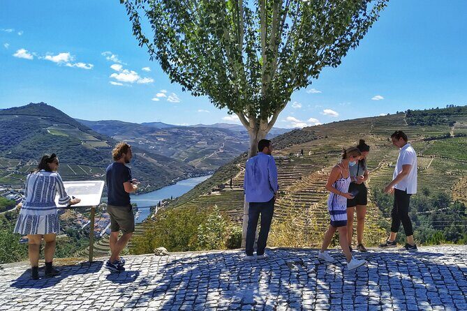 Douro Valley Prime Tour: Wine Tastings, Boat & Lunch from Porto - Lunch at a winery setting with famous connections