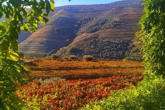 Douro Valley Prime Tour: Wine Tastings, Boat & Lunch from Porto - The drive story: Vinho Verde, Amarante, and the mountain tunnel