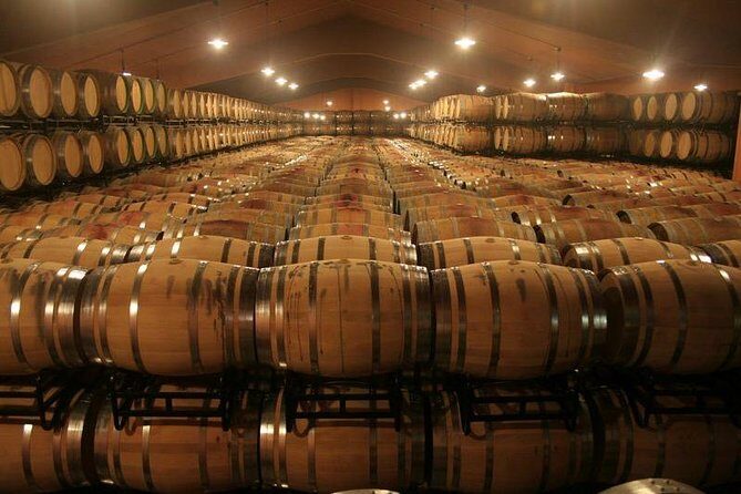 Douro Valley private day tour from Porto - Key Things You’ll Notice on This Douro Day