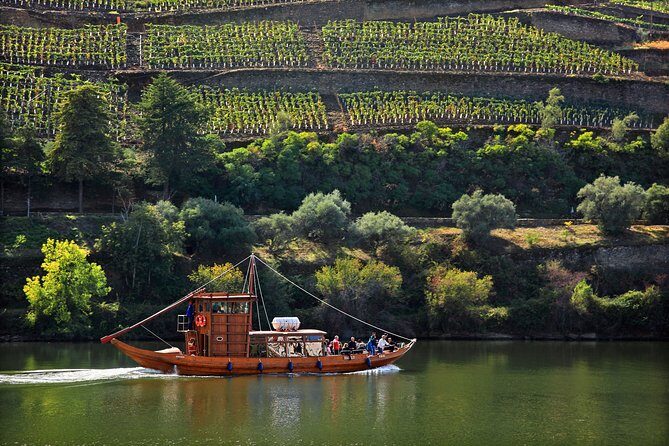 Douro Valley private day tour from Porto - Weather and Timing: Making the Best of an 8-Hour Window