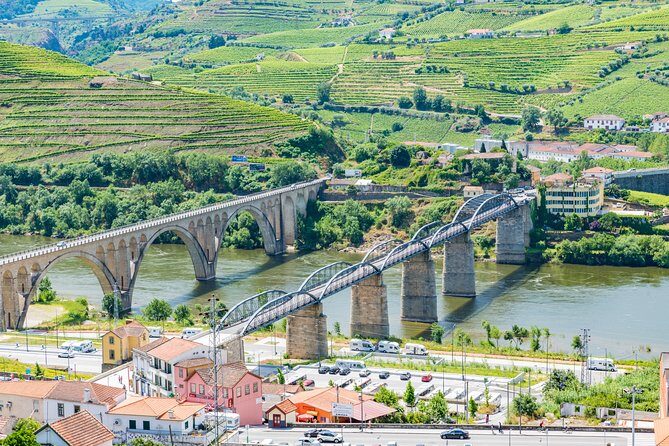 Douro Valley private day tour from Porto - English-Language Guidance: How to Get More Out of Each Stop