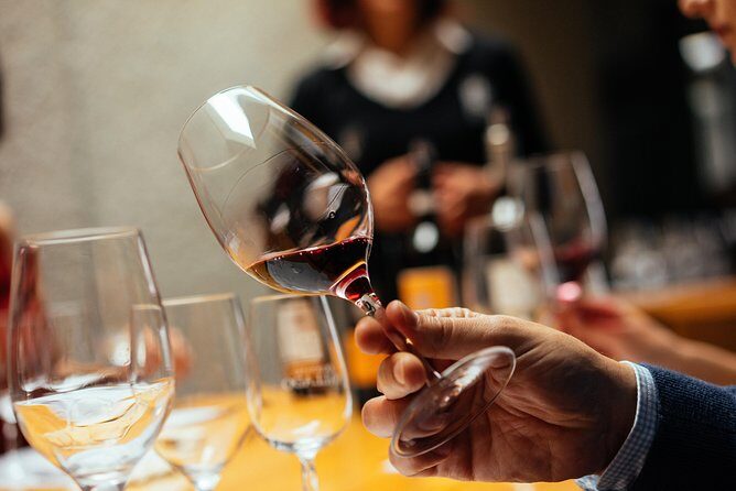 Douro Valley Private Day Trip including Boat Ride & Wine Tasting - Pinhão Stop: The Vineyard Town You Picture in Your Head