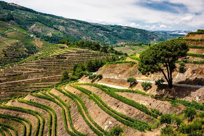 Douro Valley Private Day Trip including Boat Ride & Wine Tasting - Quinta do Infantado: Port and Dry Wine in an 1816 Setting