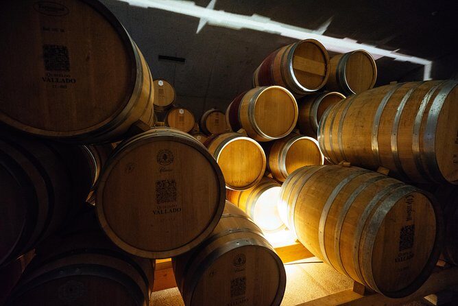Douro Valley Private Day Trip including Boat Ride & Wine Tasting - Private Pickup, Timing, and the Mobile Ticket Detail