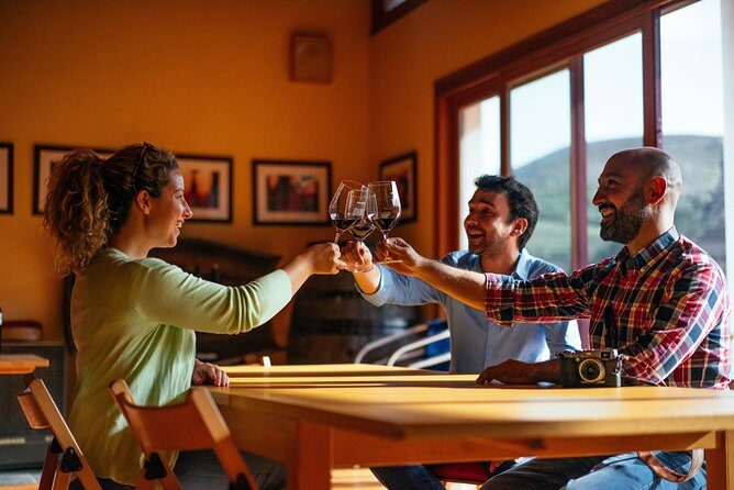 Douro Valley Private Day Trip including Boat Ride & Wine Tasting - Price and Value: Is $325.32 per Person Worth It?