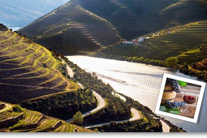 Douro Valley Private Premium Tour with Wine Tasting (1 to 4 people) - Private Douro Valley day: what makes this tour worth your time