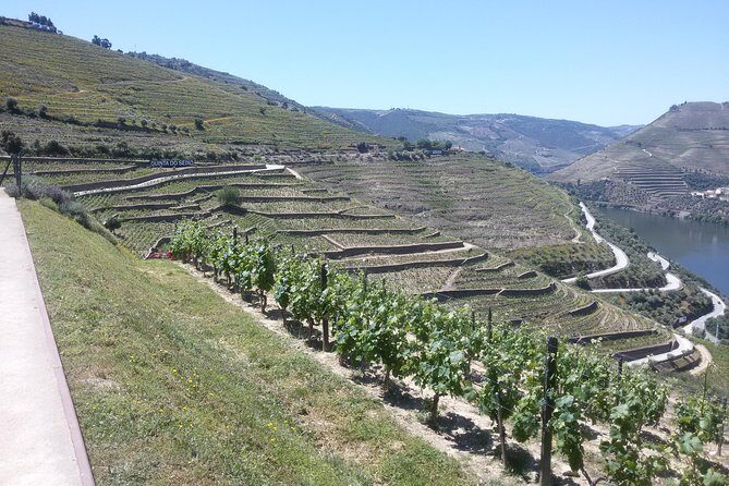 Douro Valley Private Premium Tour with Wine Tasting (1 to 4 people) - National Road 222: the drive that makes the Douro feel real
