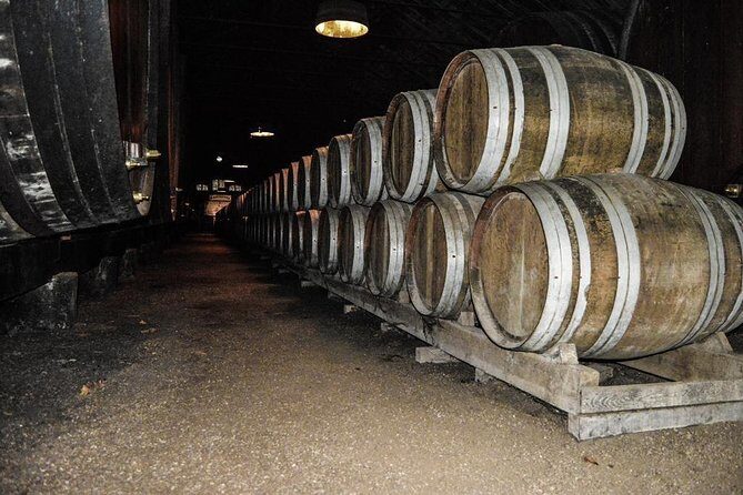 Douro Valley Private Tour from Oporto - Price and what you actually get for $307.05 per person