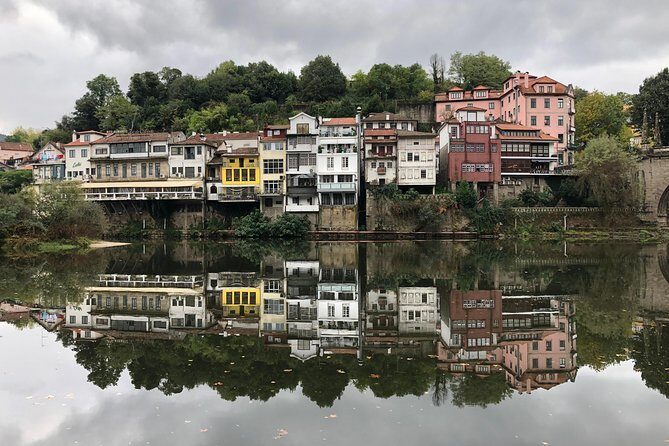 Douro Valley Private Tour from Oporto - Quinta do Tedo: winemaking tour + tasting that’s actually part of the day