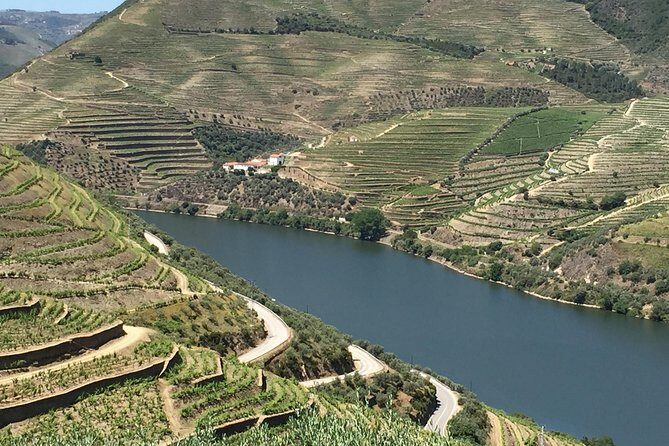 Douro Valley Private Tour from Oporto - Service style: guides, drivers, and a day that stays friendly