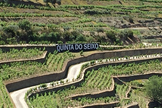 Douro Valley Private Tour from Oporto - The morning run: Porto pickup, Wi-Fi, and a smooth start at 9:00 am
