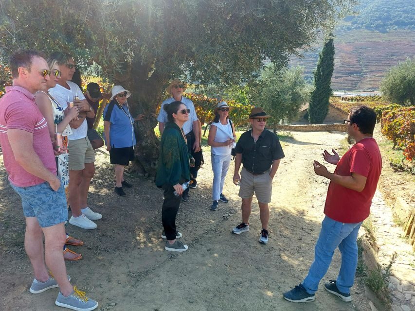 Douro Valley private tour & wine experience including lunch - Private Douro with Hugo: what it feels like in real life