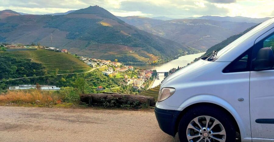 Douro Valley private tour & wine experience including lunch - Sabrosa winery visit: Port, DOC Douro, and olive oil tastings